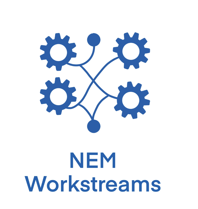 NEM workstreams